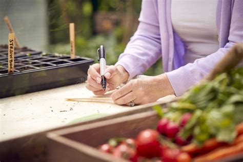 Gros plan sur une main écrivant sur une étiquette horticole