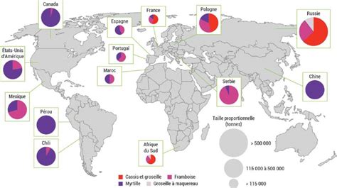 Répartition mondiale de la production de petits fruits rouges