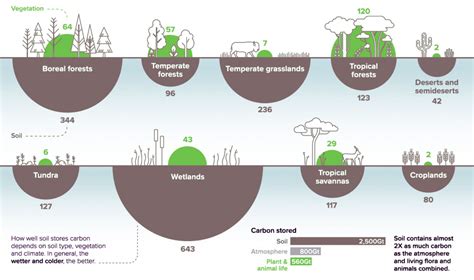 Infographie comparant la productivité par hectare dans les zones irriguées vs non irriguées