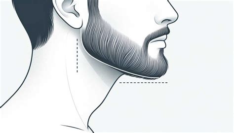 Schéma illustrant les outils essentiels pour la taille de barbe : tondeuse, peigne, brosse et ciseaux