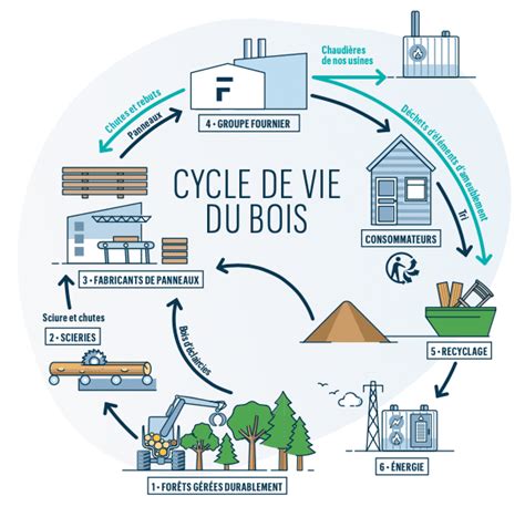 Schéma illustrant le cycle naturel du bois en forêt reproduit via le BRF
