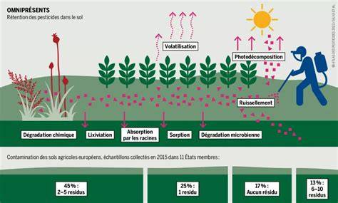 Schéma illustrant le processus de désherbage par contact sur une plante indésirable