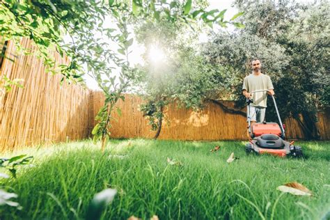 Un jardinier détendu observant sa pelouse printanière