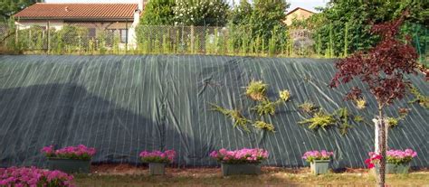 Photo d'un terrain en pente couvert par une toile de paillage verte, avec des plantes bien établies