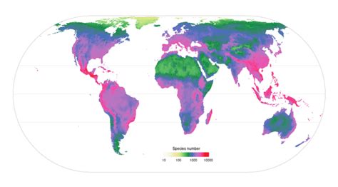 Carte mondiale montrant la répartition des zones de biodiversité des orchidées, de l'Amazonie à l'Asie du Sud-Est