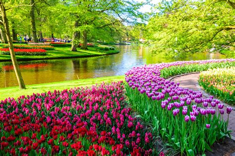 Jardins fleuris du parc Keukenhof à Lisse