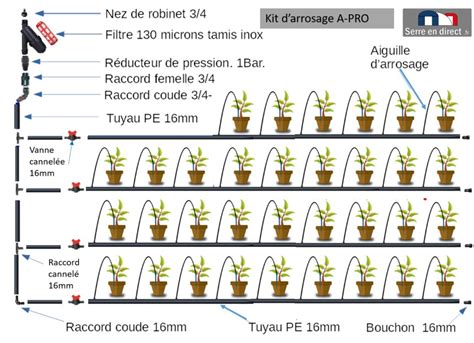 Schéma illustrant les différentes méthodes d'arrosage : goutte-à-goutte, Oyas et paillage