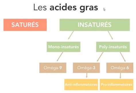 Schéma des composants actifs du macérât (vitamines, acides gras, minéraux)