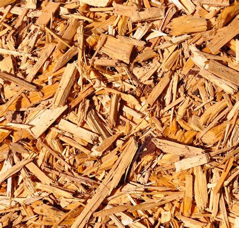 Vue d'ensemble d'une machine à plaquettes de bois en action