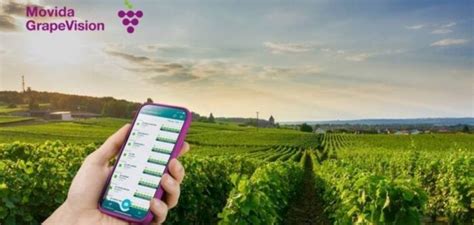 Interface de l'outil Movida GrapeVision sur smartphone
