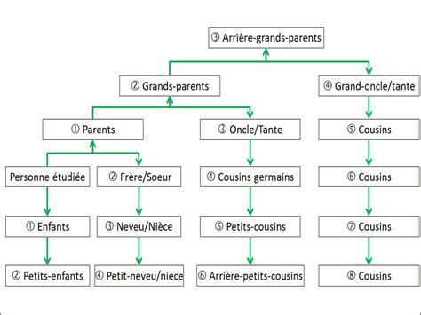 Diagramme des relations de parenté entre les variétés de pommes