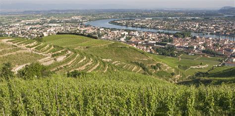 Paysage de la région du Lévézou avec vue sur des collines boisées