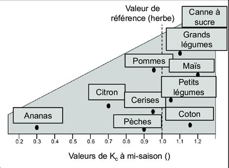 Graphique des coefficients culturaux (Kc) pour différentes cultures