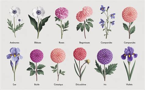 Divers types de bouquets de fleurs pour différentes occasions