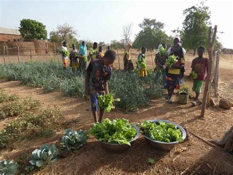 Jardin scolaire entretenu par les élèves