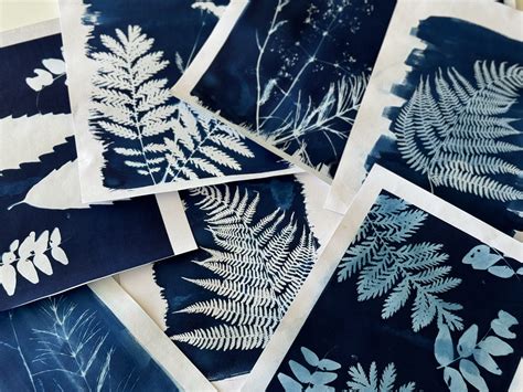 Exemple de cyanotype réalisé par les élèves