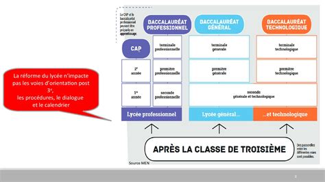 Parcours d'orientation post-3ème SEGPA