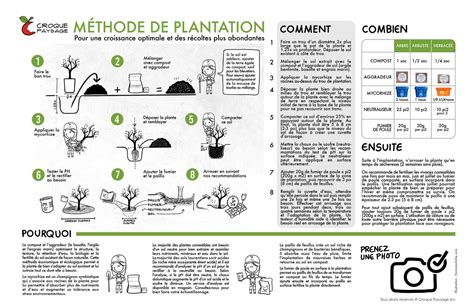 Schéma explicatif de la plantation du Yuzu en pot avec couche de drainage et terreau adapté