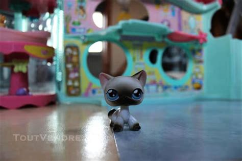 Les animaux de la Maison des Petshop en pleine réflexion