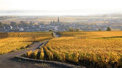 Vignoble de la Côte de Beaune en automne