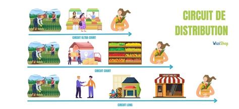 Illustration montrant différents circuits de distribution de produits agricoles