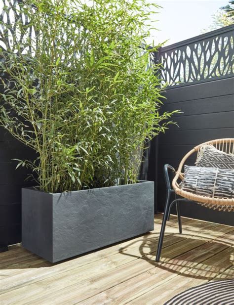 une jardinière design accueillant des bambous sur une terrasse ensoleillée