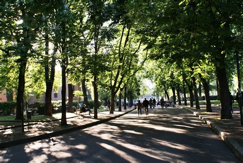 Vue panoramique des allées ombragées du parc Bortoli avec ses grands platanes centenaires