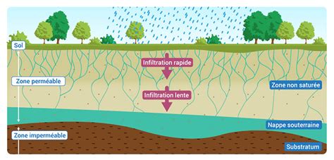 Schéma illustrant la propagation des parasites des déjections vers le sol et les nappes phréatiques