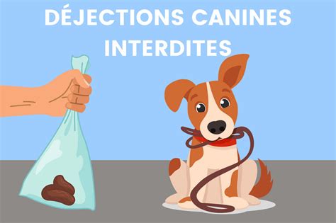 Diagramme d'un composteur dédié aux déjections canines avec séparation des flux