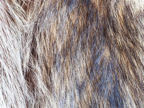 Détail macro de la texture de la fausse fourrure de raton laveur
