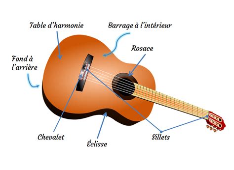 Schéma illustrant les différentes zones de résonance sur le manche d'une guitare acoustique