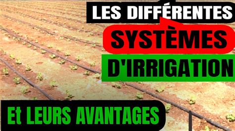 Infographie comparant les avantages des différents systèmes d'irrigation pour les jardins privés