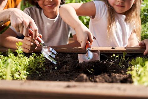 Illustration d'un enfant apprenant à jardiner avec des outils adaptés