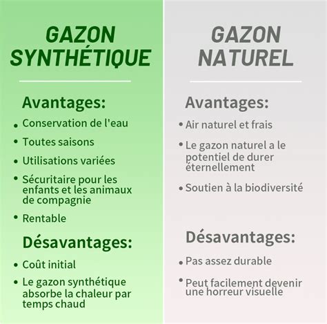 Illustration comparative : Gazon Robusto vs Gazon standard après usage