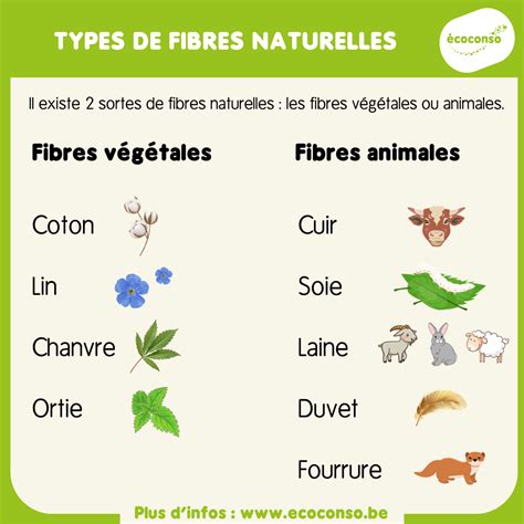 Schéma illustrant l'intégration des racines naturelles dans une trame de fibres synthétiques