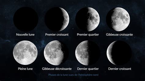 Lune avec les chevaux, symbole de sa thérapie