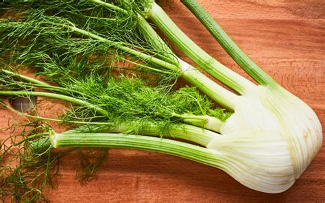 Fenouil frais avec son plumet vert