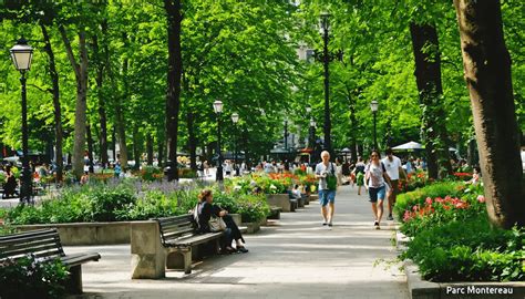 Arbres dans un environnement urbain