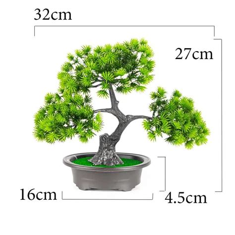 Arbre bonsaï miniature