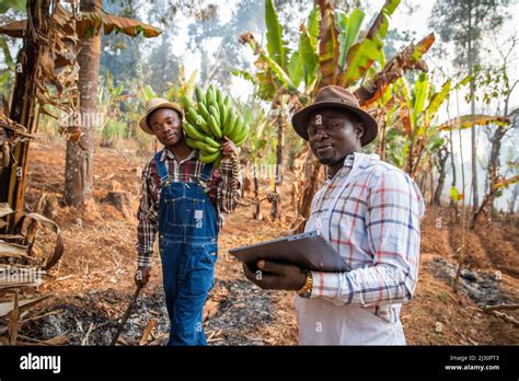 Paysans travaillant dans un champ