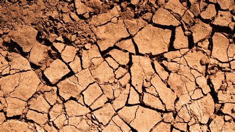 Sols argileux fissurés par la sécheresse