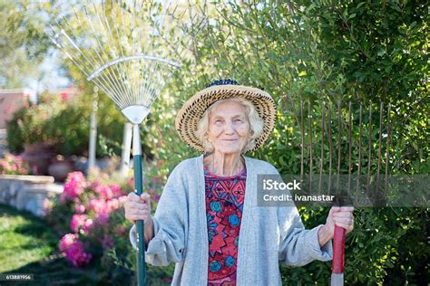 Personne âgée jardinant avec un râteau