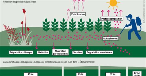 Infographie sur les nutriments restitués au sol par le mulching