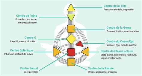 Schéma de design en zones permaculturelles