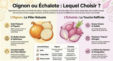 Diagramme comparatif échalote de tradition vs échalote de semis