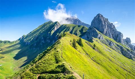 Grimpe d'arbres dans les Aravis
