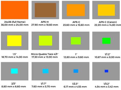 Comparaison schématique de différentes tailles d'exploitation maraîchère