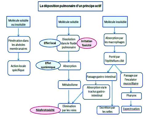 Schéma illustrant les principes de la micro-ferme