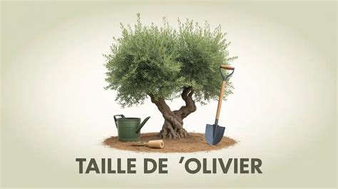 Calendrier de taille de l'olivier