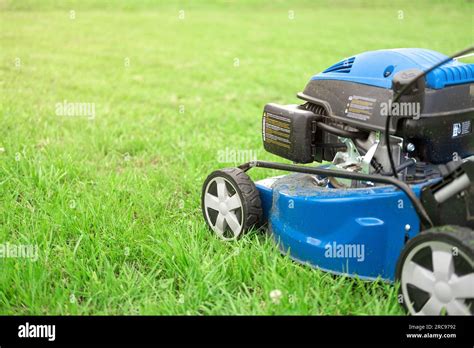Tondeuse à gazon coupant de l'herbe haute